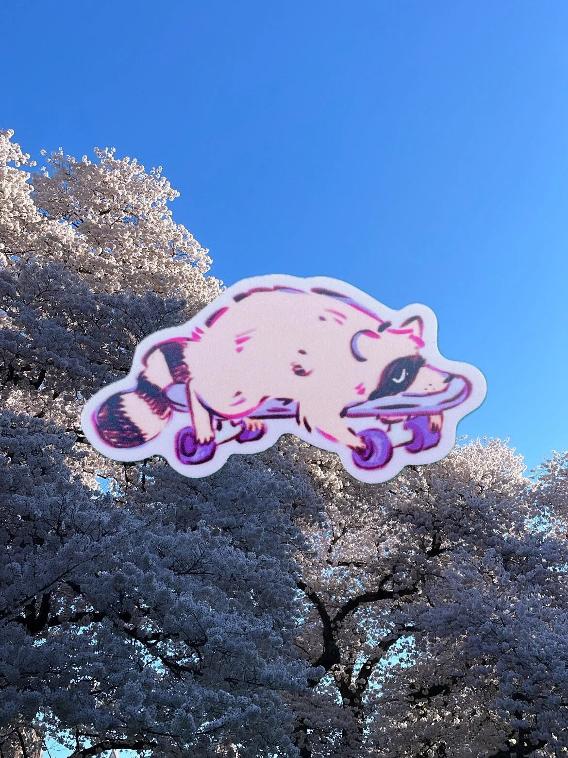 Skateboard Raccoon Weatherproof Vinyl Matte Sticker