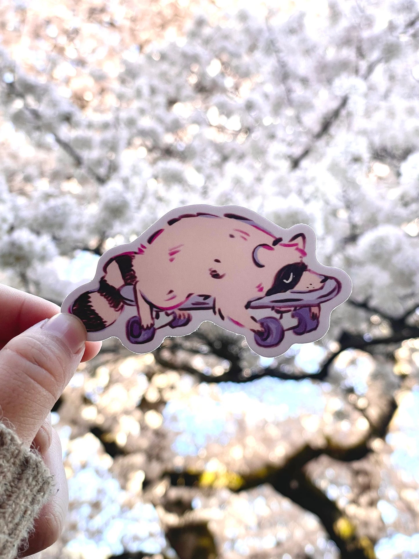 Skateboard Raccoon Weatherproof Vinyl Matte Sticker